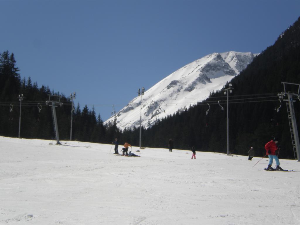 Studio Apt 723 Bansko Royal Towers 아파트 외부 사진